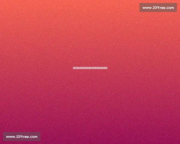 孔帕尼亲赴迈阿密观战本菲卡博卡，世俱杯战术侦察