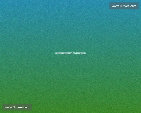 加图索回归执教!意大利剑指 2026 世界杯重生之路 加图索回归执教!意大利剑指 2026 世界杯重生之路