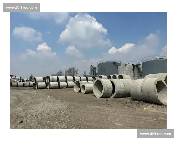 嘴炮vs约瑟夫达菲恩怨再起一战定江湖格局前瞻全面解析胜负关键