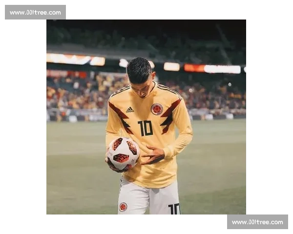 埃弗顿与热刺激战 J罗表现引关注 为球队贡献巨大