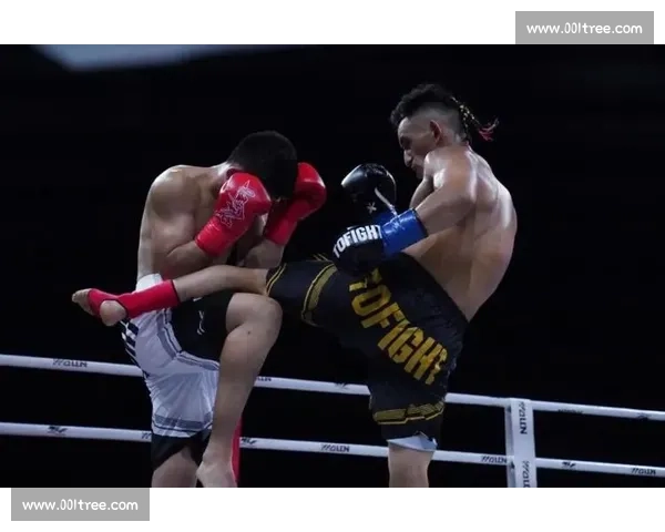 方便对决王洪祥巅峰之战谁能笑到最后武林风擂台再燃战火传奇一战回