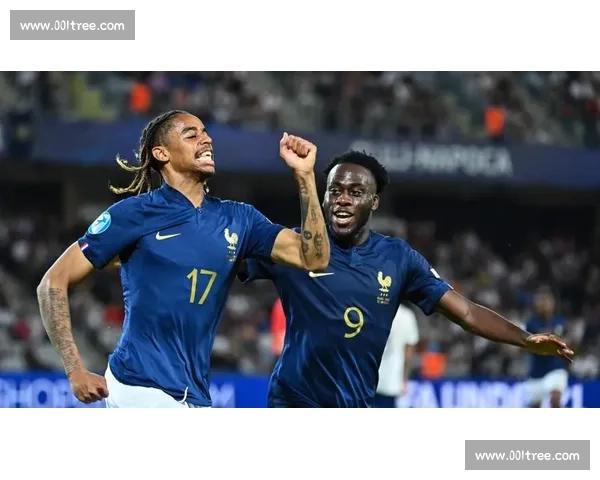 法国队迎战芬兰强强对话检验欧洲足球新格局走向与实力碰撞前瞻