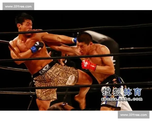 牛小强对决李景亮巅峰碰撞中国综合格斗荣耀之战燃爆赛场生死较量