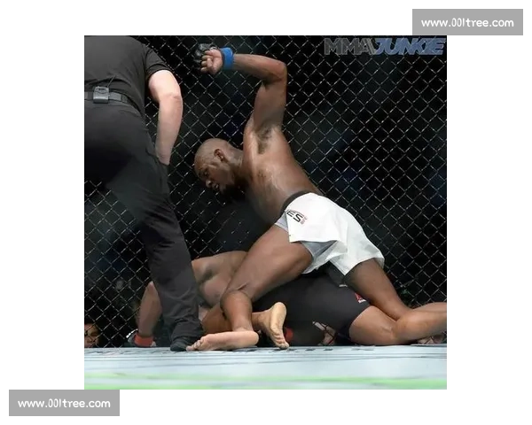 科米尔对决琼斯恩怨再起格斗之巅谁主沉浮终极解析历史宿命全面回顾