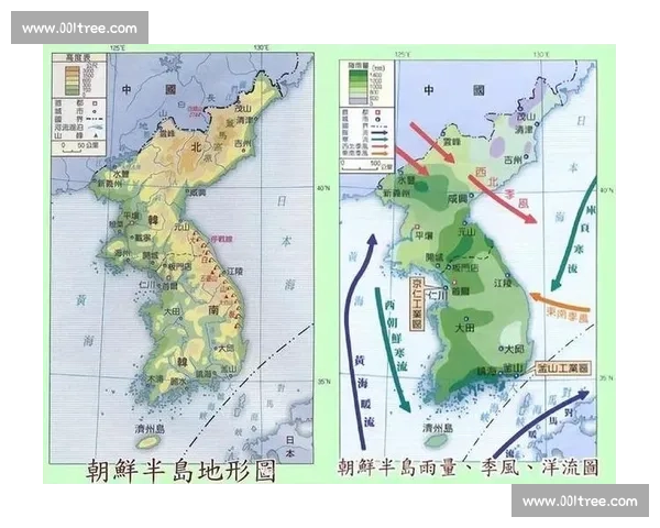 朝鲜与韩国对峙格局下的半岛安全与未来走向探析地区稳定博弈新变量