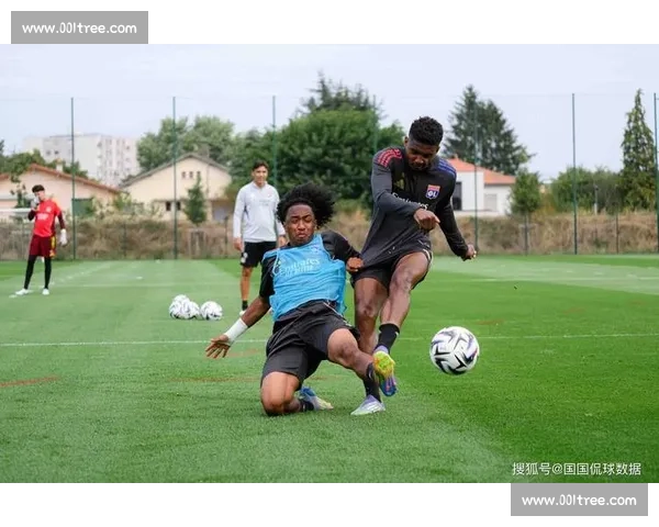 波尔多迎战里昂法甲焦点对决赛季走势关键一战前瞻看点解析全景观察