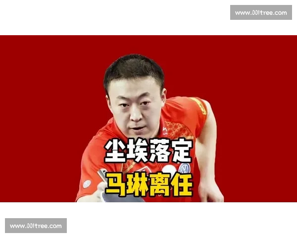 戴资颖对决马琳巅峰较量书写羽坛经典传奇之战女子单打时代争锋